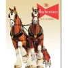 Budweiser King of Beers Metal Sign Desperate Enterprises (1631) by Desperate Enterprises