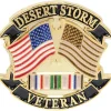 DESERT STORM VETERAN PIN DESERT STORM VETERAN PIN (P15515) by Eagle Emblems