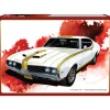 1969 Hurst Oldsmobile Cutlass 1:25 Scale Plastic Model Kit by AMT