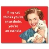 My Cat Metal Sign 2909 Tin by Desperate Enterprises