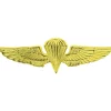 Paratrooper Wings Lapel Pin P16567 (C004) by Eagle Emblems
