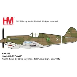 P-40B Warhawk 1/48 Diecast Model 1:48 scale Metal by Hobby Master