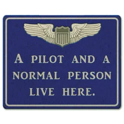 Pilot and Normal Person Metal Sign by Vintage Sign Co.