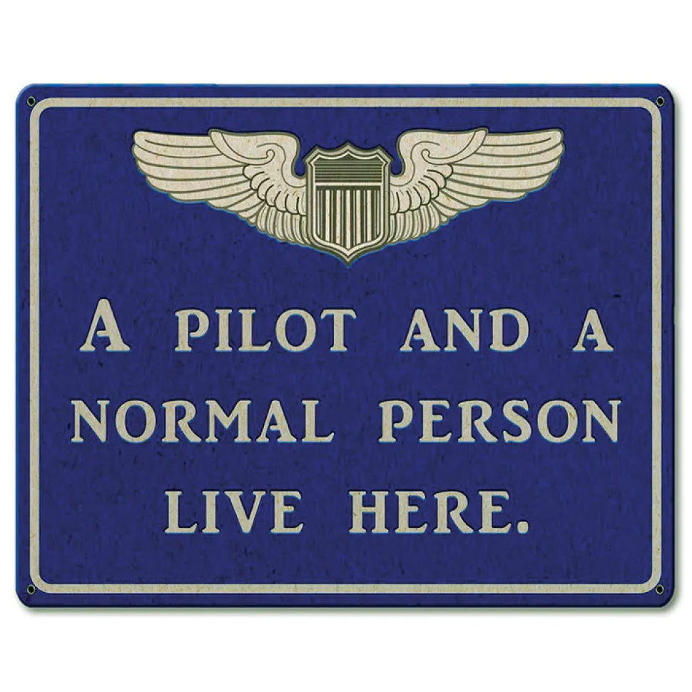 Pilot and Normal Person Metal Sign by Vintage Sign Co.
