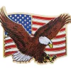 USA Flag and Eagle Lapel Pin Eagle Emblems (P15705) Metal by Eagle Emblems