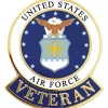 USAF LOGO VETERAN PIN USAF LOGO VETERAN PIN (P12561) by Eagle Emblems