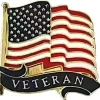 USA Veteran Wavy Lapel Pin Ruffin (249301) by Ruffin Flag Company