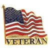 Veteran Flag Lapel Pin P09621 (C002) by Eagle Emblems