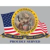 Veteran Magnet - Eagle Emblems (MG0825) by Eagle Emblems