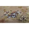 Zulu Casualty 1/30 Figure Set WILLIAM BRITAIN (20226) 1:30 scale Metal by William Britain